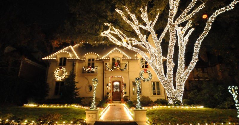 Professional Christmas lights