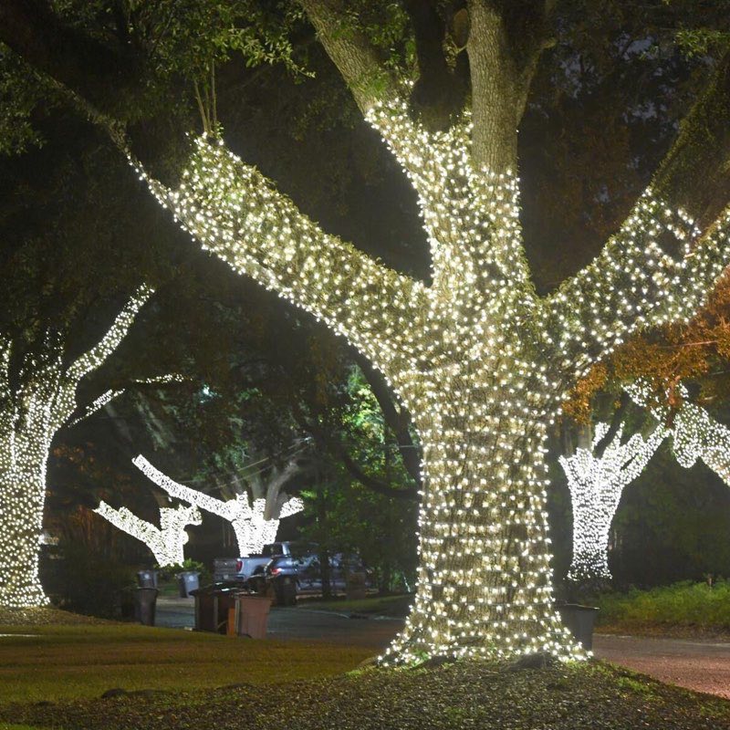 App controlled lighting